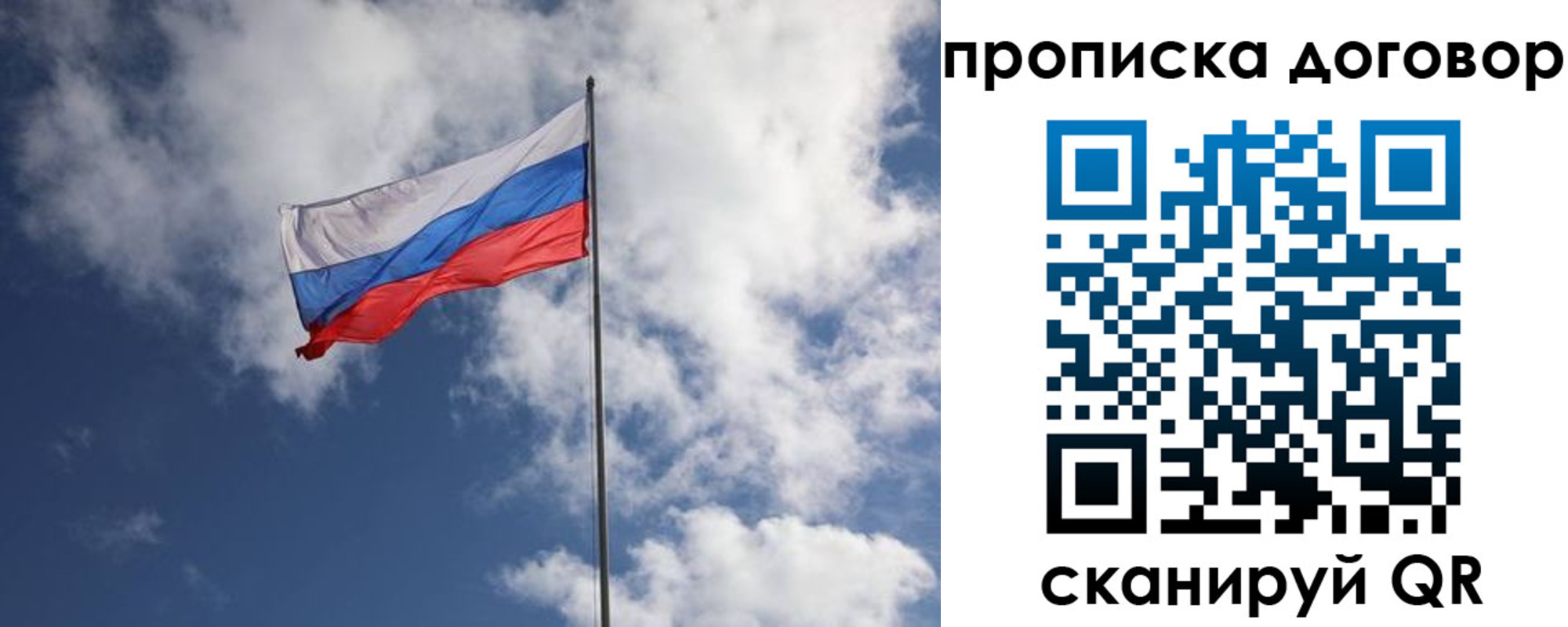 прописка поиск в Коле