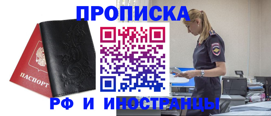 где прописаться в Коле